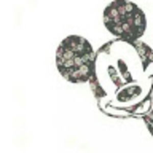 Meet your Posher, Bella